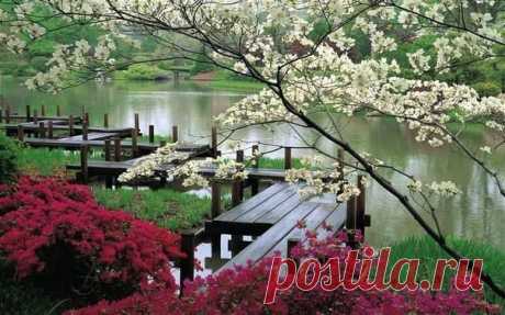 (9) Facebook
