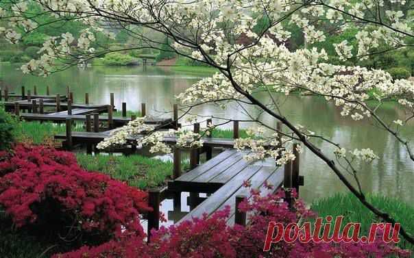 (9) Facebook
