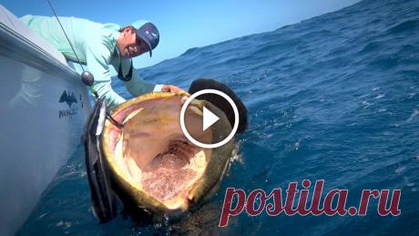 Monster Fishing on Shallow Florida Wrecks