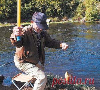 Карась: Поплавок или кивок