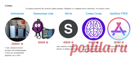 Каналы Telegram с бесплатными курсами, тренингами, знаниями