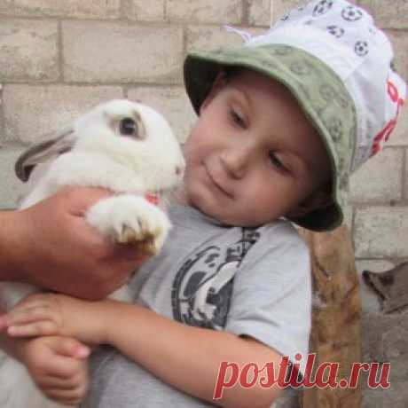 Практика ведения дачного хозяйства