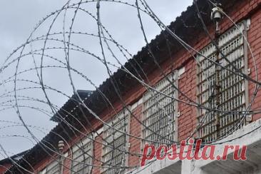 Жизнь исколотого ножом российского инвалида-колясочника оценили на 13 лет