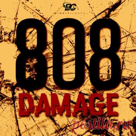 Big Citi Loops 808 Damage WAV MiDi  | 219 MB

808 Damage' from Big Citi Loops is glad to present a Construction Kit pack that gives you those creative Hip-Hop and Trap beats that will blow you off your feet. This pack will provide all the sounds you need to make that next Trap hit.

DOWNLOAD AT:

https://audioclub.store/uncategorized/big-citi-loops-808-damage-wav-midi/