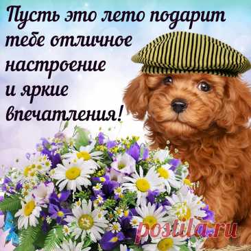 Не вздумай даже, ты, грустить.
Пусть настроение придёт из ниоткуда.
Ворвётся ярко в твою жизнь
Заставит вновь поверить в чудо.