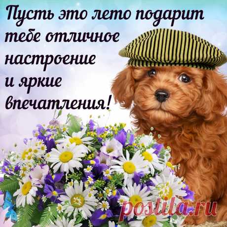 Не вздумай даже, ты, грустить.
Пусть настроение придёт из ниоткуда.
Ворвётся ярко в твою жизнь
Заставит вновь поверить в чудо.