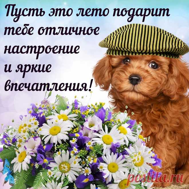 Не вздумай даже, ты, грустить.
Пусть настроение придёт из ниоткуда.
Ворвётся ярко в твою жизнь
Заставит вновь поверить в чудо.