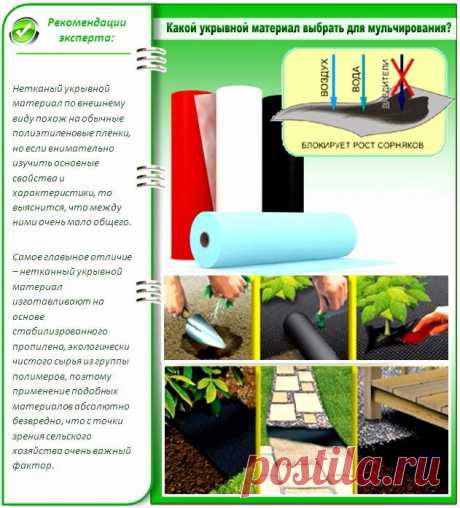 Растения помощники. Часть 2. Борьба с сорняками.