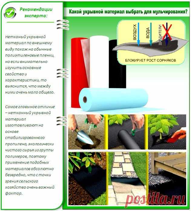 Растения помощники. Часть 2. Борьба с сорняками.