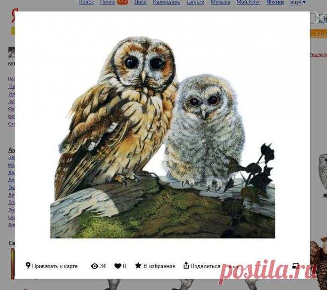 Как просматривать и брать картинки с Яндекс фото в связи с новыми изменениями.