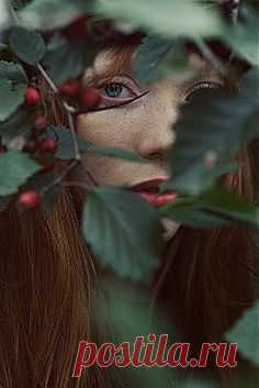 Pinterest