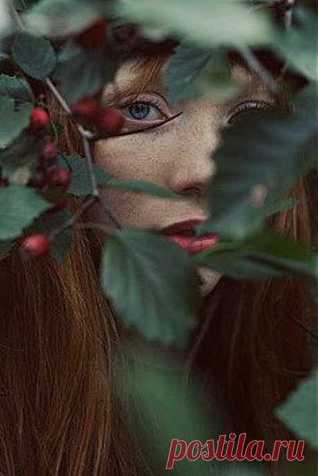 Pinterest