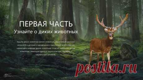 Запись на стене #шаблон #презентация #PowerPoint #экология #защита #животных  Шаблон презентации PowerPoint Защитите диких животных  Вы хотите создать презентацию, которая вызовет эмоциональный отклик и вдохновит на действия по защите дикой природы? Наш новый шаблон PowerPoint поможет вам достичь этой цели! Почему стоит выбрать наш шаблон? Привлекательный дизайн: Яркие и насыщенные цвета, современные графические элементы, которые привлекают внимание...