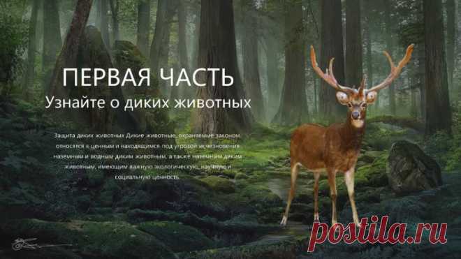 Запись на стене #шаблон #презентация #PowerPoint #экология #защита #животных  Шаблон презентации PowerPoint Защитите диких животных  Вы хотите создать презентацию, которая вызовет эмоциональный отклик и вдохновит на действия по защите дикой природы? Наш новый шаблон PowerPoint поможет вам достичь этой цели! Почему стоит выбрать наш шаблон? Привлекательный дизайн: Яркие и насыщенные цвета, современные графические элементы, которые привлекают внимание...