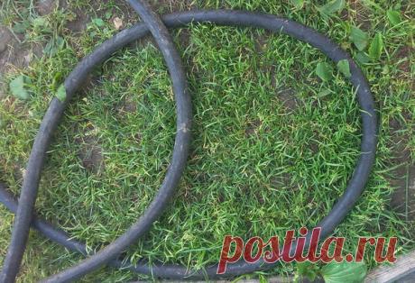 Полезное применение старого садового шланга | Дом и сад | Яндекс Дзен