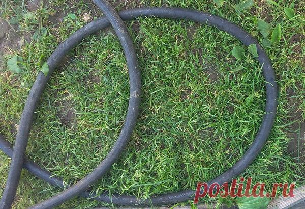 Полезное применение старого садового шланга | Дом и сад | Яндекс Дзен