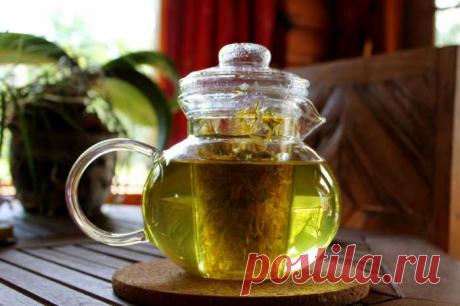 Убивает до 96% клеток лейкемии, всего за 48 часов! | Совет Только один лист этой травы, который присутствует в любом саду может спасти вашу жизнь за минуту, но только некоторые люди знают, как его использовать! Только один лист этой...