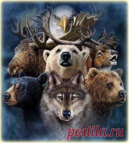 Эзотерика. Магия. Психология. | ВКонтакте