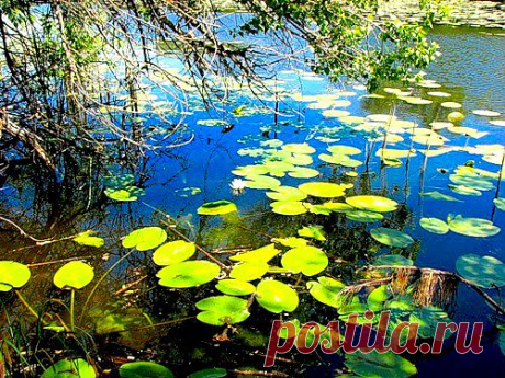 красоты Запорожской области
