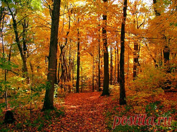 Фото Без названия. Альбом 