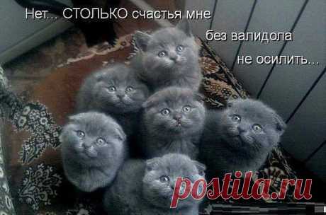 Интересные новости