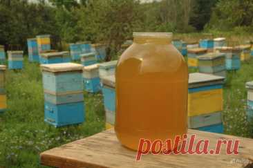 7 спасительных свойств мёда.