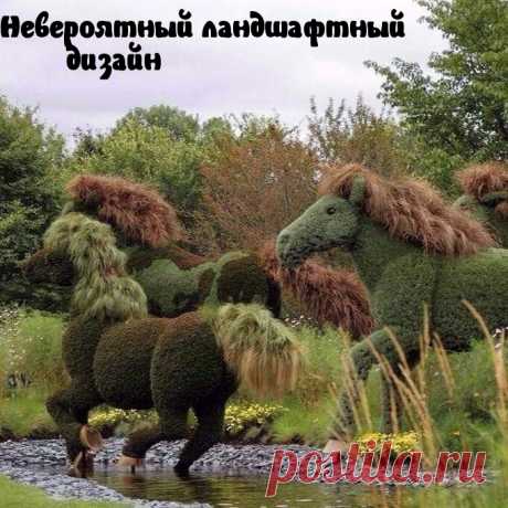 Картинки с надписями "Прикольные" (2270 шт.)