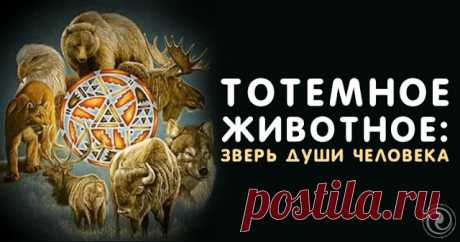 ТОТЕМНОЕ ЖИВОТНОЕ: ЗВЕРЬ ДУШИ ЧЕЛОВЕКА 

Тотемизм считается примитивным верованием, согласно которому в роли предка рода выступает некоторое животное или растение. Но мало кто знает, что старинные представления имеют реальную подоплеку и н…