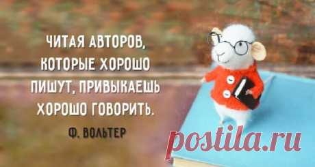 20 самых интересных высказываний о пользе чтения
Книга — один из самых близких друзей. В книгах мы находим ответы на вопросы, книги дают пищу для размышлений, книги воспитывают в нас человека, книги предлагают лучший интеллектуальный отдых и полёт воображения, потому что в книгах, в отличие от фильмов, нет ограничений на спецэффекты. Мы собрали 20 самых интересных высказываний о пользе чтения: Читая авторов, […]
Читай дальше на сайте. Жми подробнее ➡