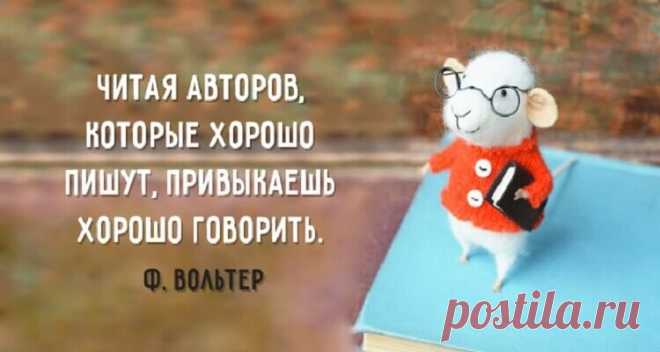 20 самых интересных высказываний о пользе чтения
Книга — один из самых близких друзей. В книгах мы находим ответы на вопросы, книги дают пищу для размышлений, книги воспитывают в нас человека, книги предлагают лучший интеллектуальный отдых и полёт воображения, потому что в книгах, в отличие от фильмов, нет ограничений на спецэффекты. Мы собрали 20 самых интересных высказываний о пользе чтения: Читая авторов, […]
Читай дальше на сайте. Жми подробнее ➡