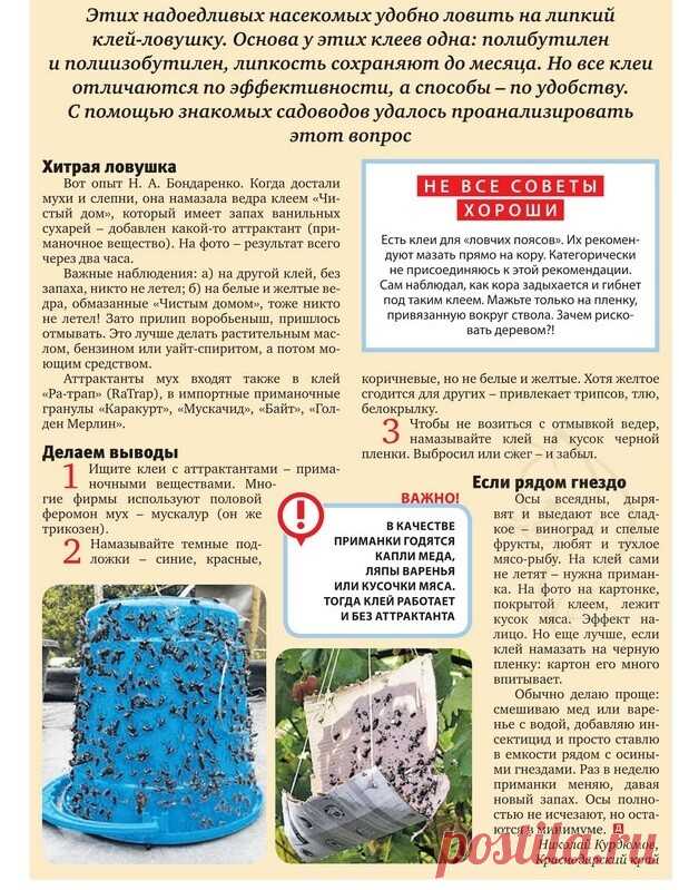 НА ДАЧЕ. САД и ОГОРОД.
   ОХ УЖ ЭТИ ОСЫ...ПЧЕЛЫ..