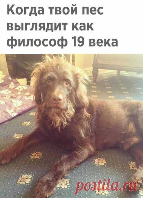 Без комментария