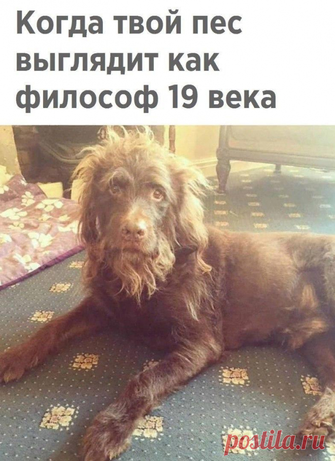 Без комментария