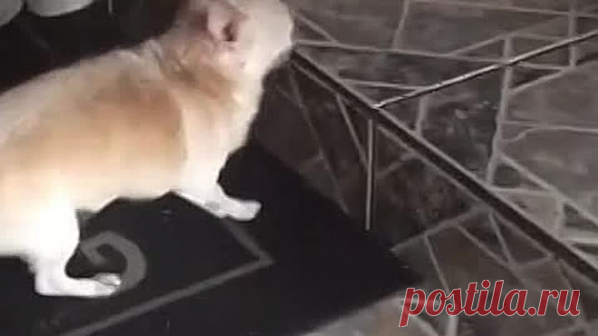 Нашел выход из ситуации 😁
