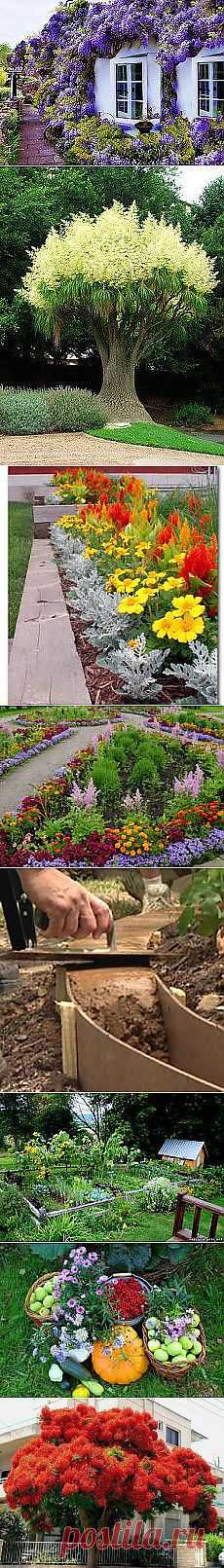 Svetlana Reschikova: ДАЧА | Постила.ru