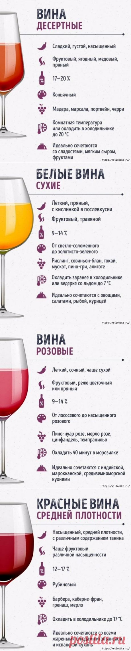 Этот гид по винам сделает из вас настоящего сомелье
