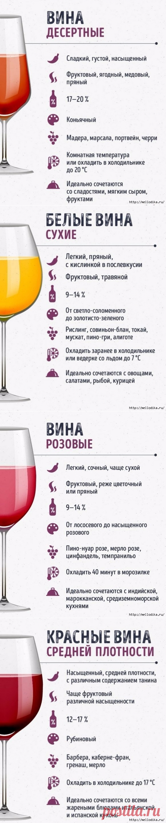 Этот гид по винам сделает из вас настоящего сомелье