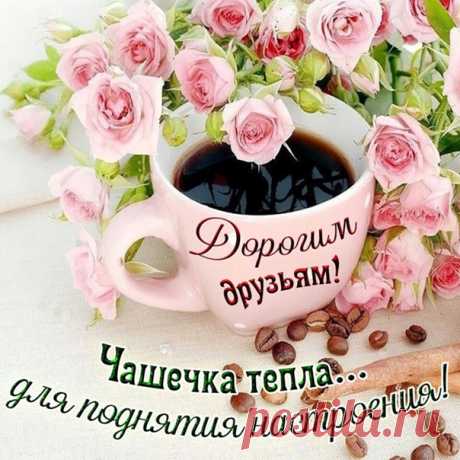 С ДОБРЫМ УТРОМ, ДРУЗЬЯ!
Хочу чтоб было много счастья
В глазах у каждого из вас
И в жизни не было ненастья,
А в доме тишь и благодать
Чтоб было радостнее утро,
Чтоб день с улыбки начинать
И целый день своей улыбкой,
Весь мир смогли бы украшать
Чтоб было ласковое солнце,
И небо чистым как слеза
Чтобы душа благоухала
От красоты что жизнь дала
Чтобы всегда вас окружали
Тепло, любовь и доброта
И чтобы ваших слез не знали
Ваши прекрасные глаза...
