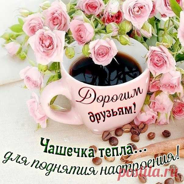 С ДОБРЫМ УТРОМ, ДРУЗЬЯ!
Хочу чтоб было много счастья
В глазах у каждого из вас
И в жизни не было ненастья,
А в доме тишь и благодать
Чтоб было радостнее утро,
Чтоб день с улыбки начинать
И целый день своей улыбкой,
Весь мир смогли бы украшать
Чтоб было ласковое солнце,
И небо чистым как слеза
Чтобы душа благоухала
От красоты что жизнь дала
Чтобы всегда вас окружали
Тепло, любовь и доброта
И чтобы ваших слез не знали
Ваши прекрасные глаза...