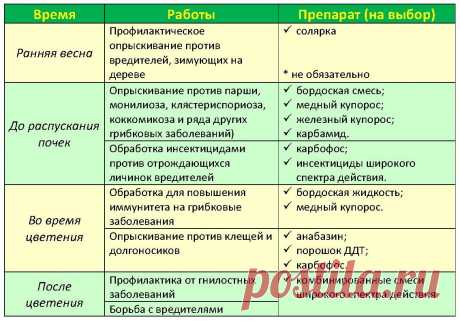 Опрыскивание деревьев весной