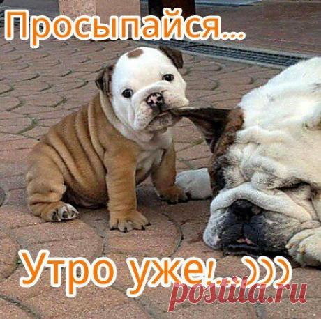 Интересные новости