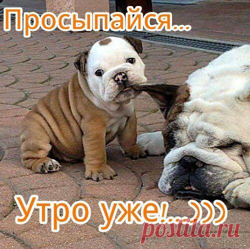 Интересные новости