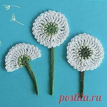 Одуванчик крючком.