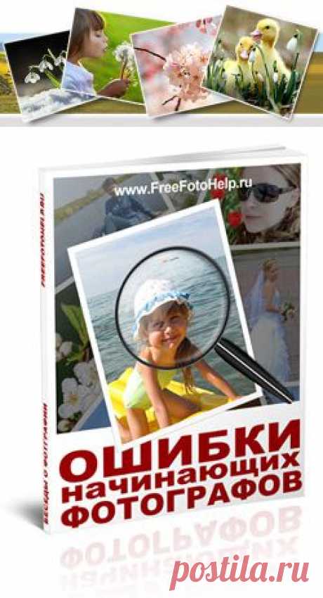 Уроки фотографии или школа фотографии? Как научиться фотографировать бесплатно