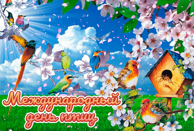 Международный День птиц - интересные факты о пернатых &raquo; Женский Мир