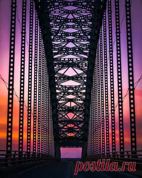 The Most Beautiful Things in the World