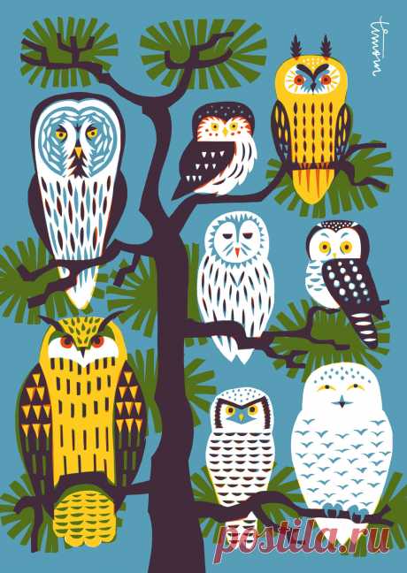 Pöllöpuu - Kehvola Size: A6 (105 mm x 148 mm) Material: Uncoated 300 g cardstock, EU Ecolabel Printed in Finland