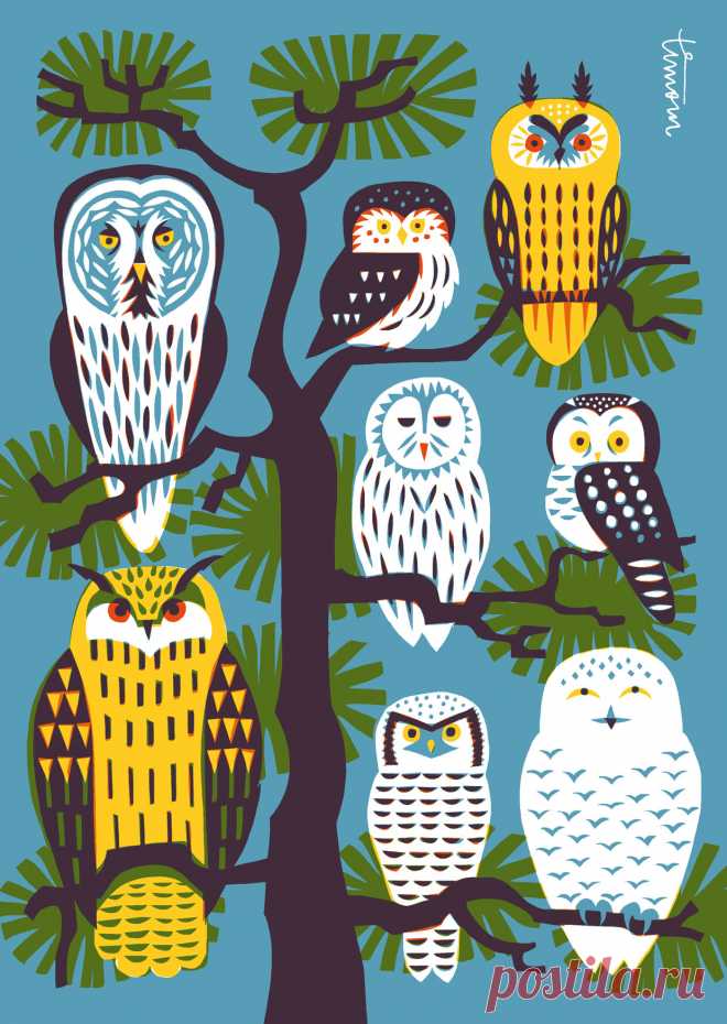 Pöllöpuu - Kehvola Size: A6 (105 mm x 148 mm) Material: Uncoated 300 g cardstock, EU Ecolabel Printed in Finland
