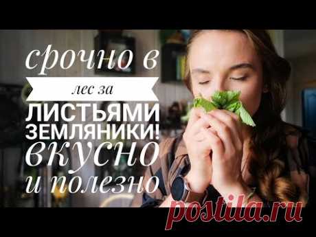 Земляничная ручная ферментация: срочно в лес, пока цветёт ягода!