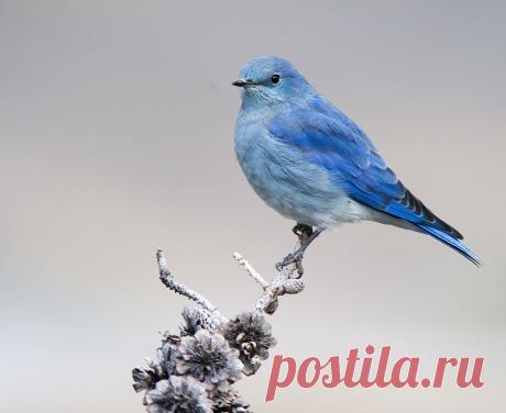 original.jpg (900×735)